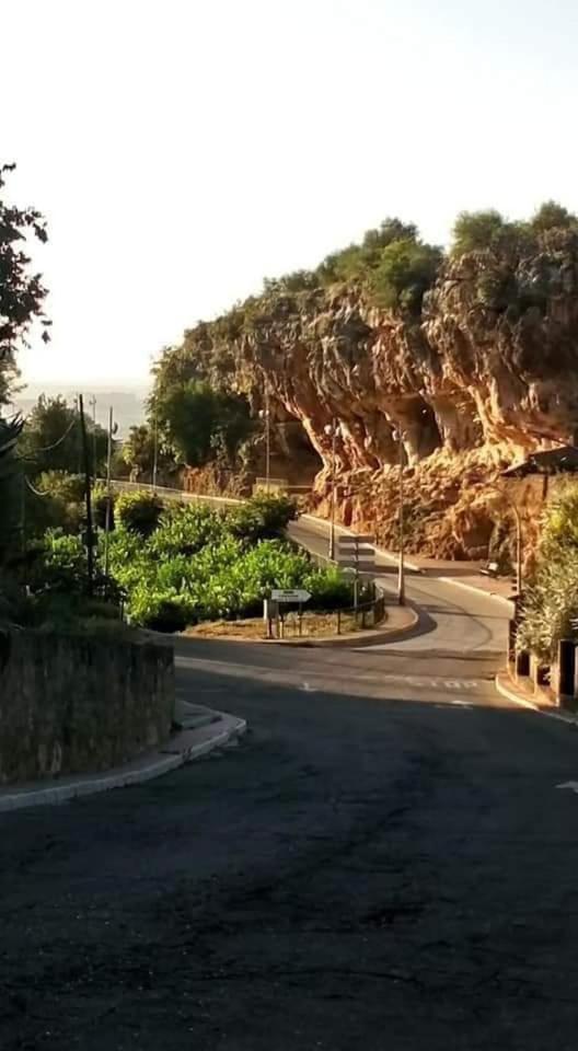 La Buganvilla, Descanso Entre Olivares Hornachuelos Exterior foto