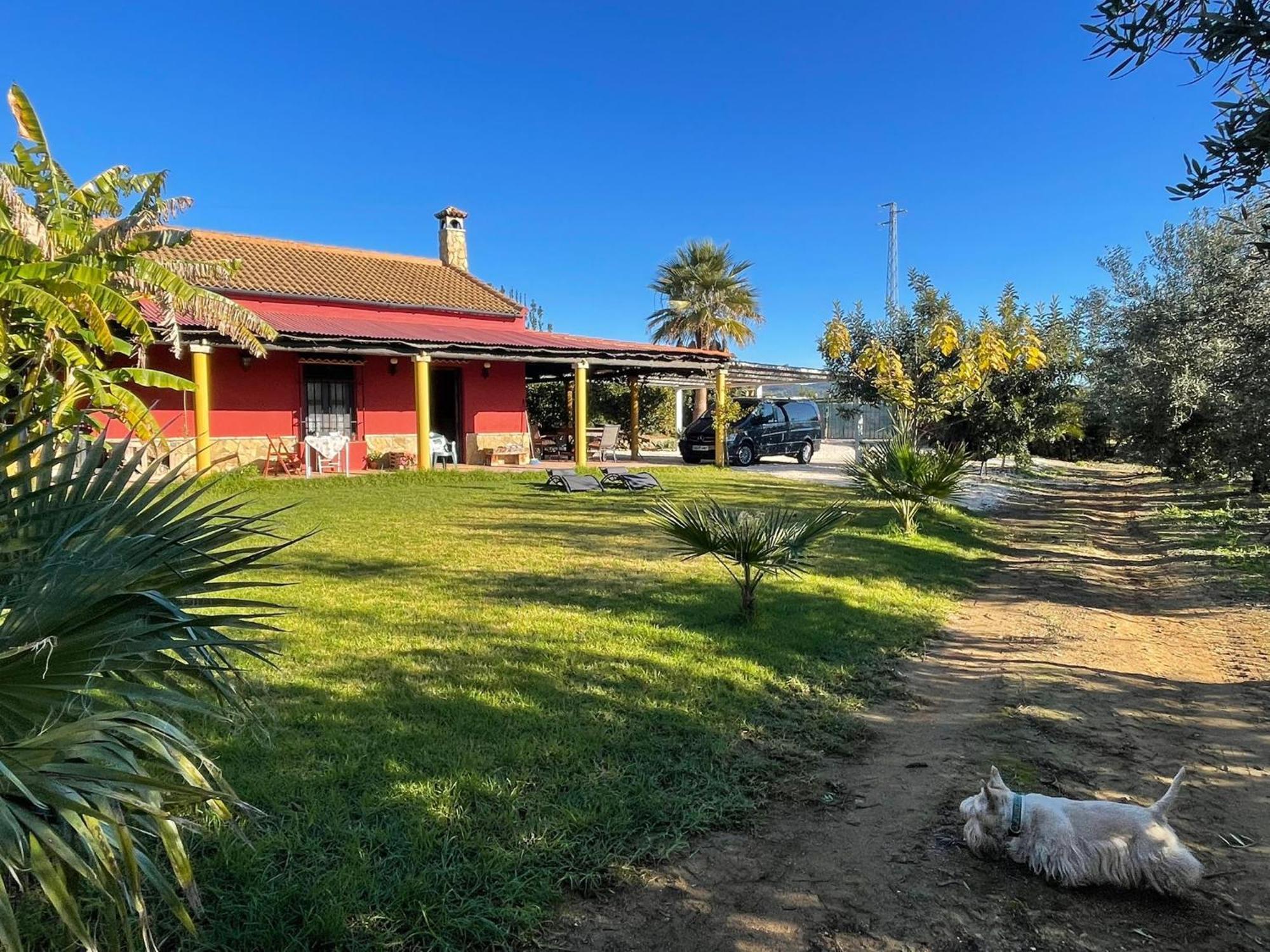 La Buganvilla, Descanso Entre Olivares Hornachuelos Exterior foto